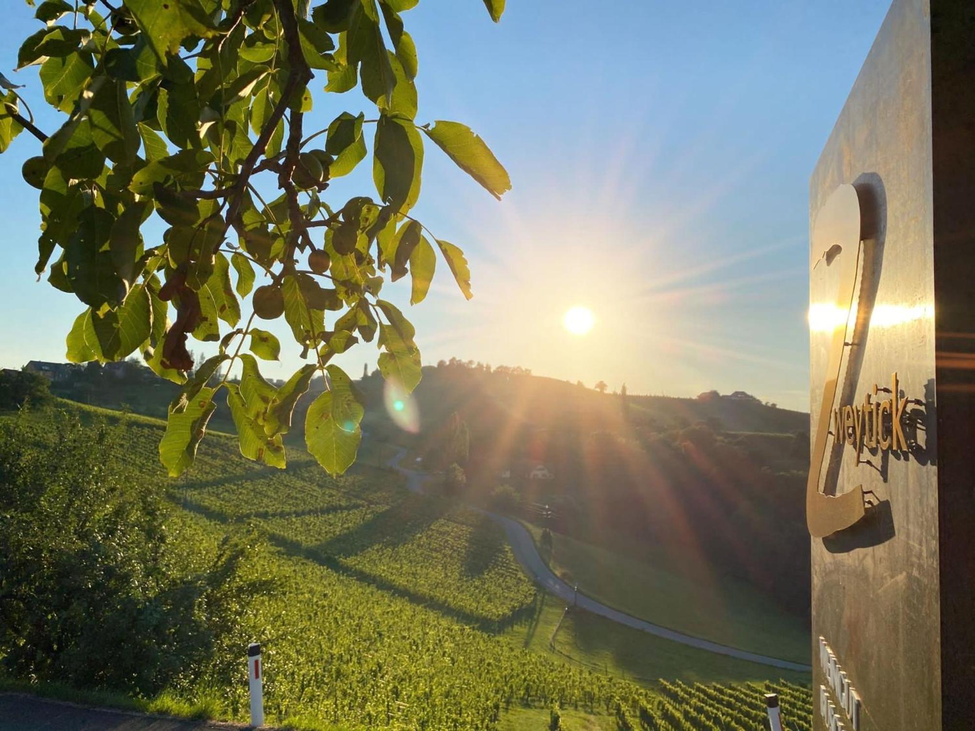 Zweytick Gaestezimmer Weingut Ratsch an der Weinstraße Esterno foto