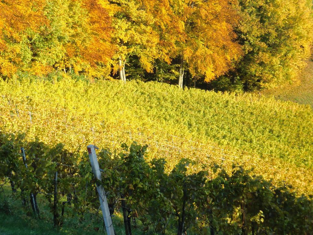 Zweytick Gaestezimmer Weingut Ratsch an der Weinstraße Esterno foto