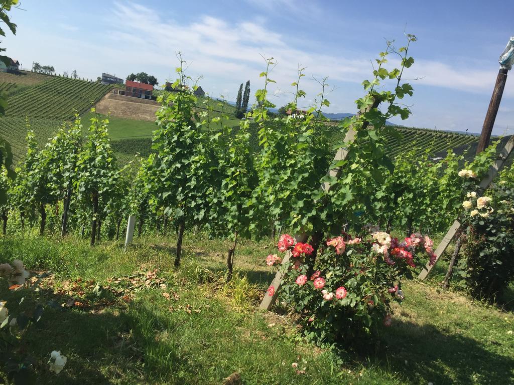 Zweytick Gaestezimmer Weingut Ratsch an der Weinstraße Esterno foto