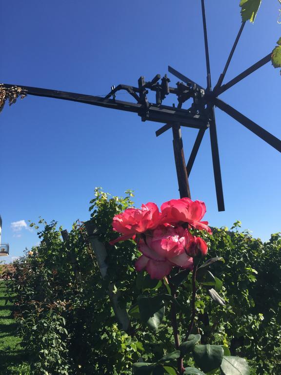 Zweytick Gaestezimmer Weingut Ratsch an der Weinstraße Esterno foto