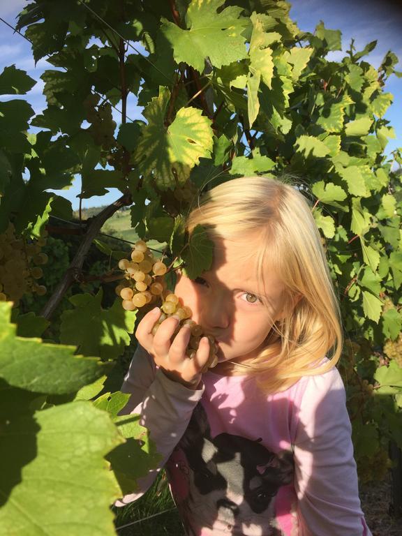 Zweytick Gaestezimmer Weingut Ratsch an der Weinstraße Esterno foto